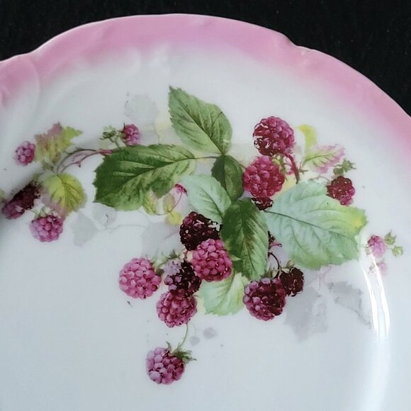 Vintage Hand-Painted Pink Porcelain Plate With Blackberry Design, Plate Wall - Picture 2 of 6